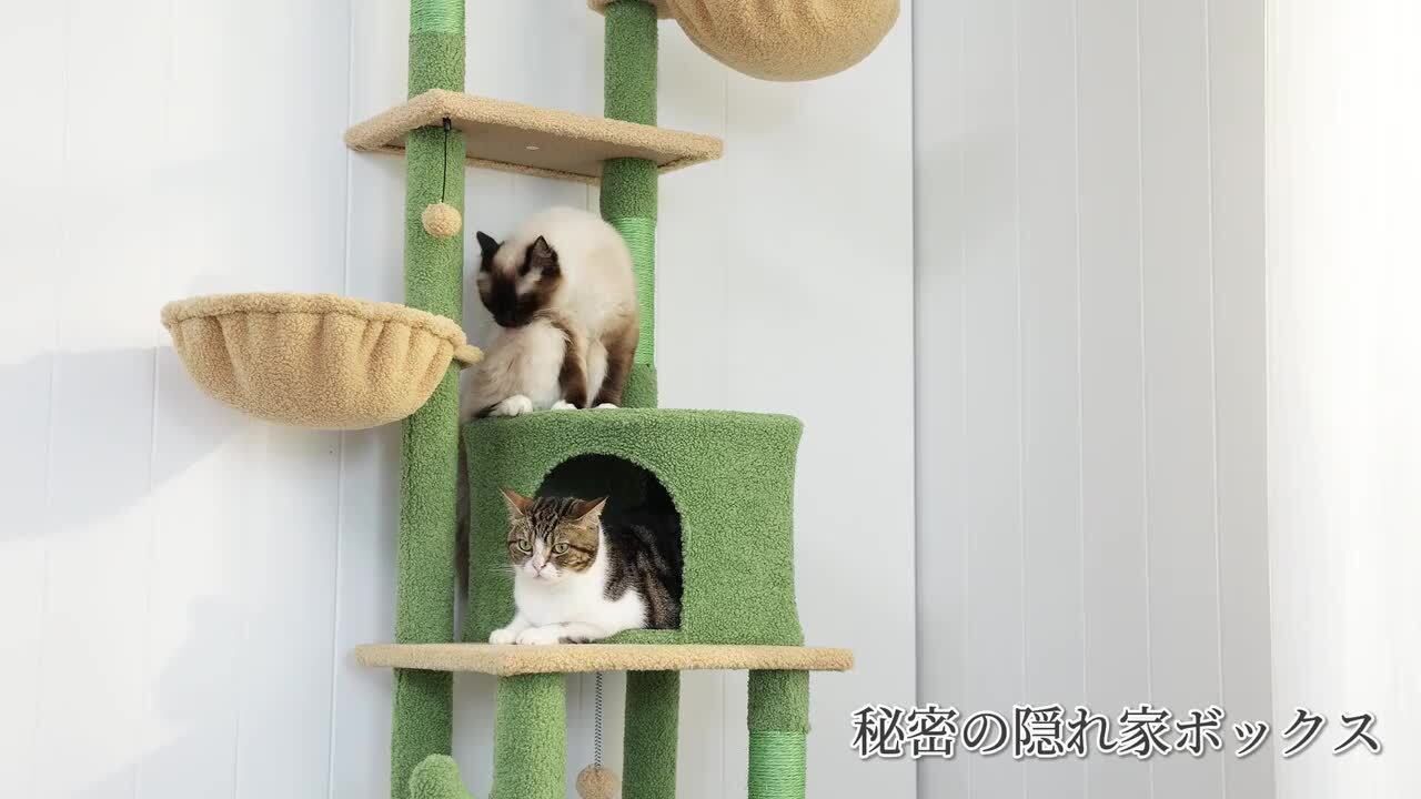 楽天市場】キャットタワー 突っ張り スリム 大型猫 多頭飼い