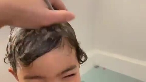 楽天市場】ベビー ベビーヘアブラシ ヘアブラシ 赤ちゃん 子ども