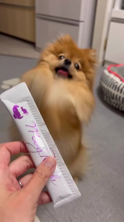 楽天市場】【公式】モグリッチ （犬用・猫用おやつ）チキンと