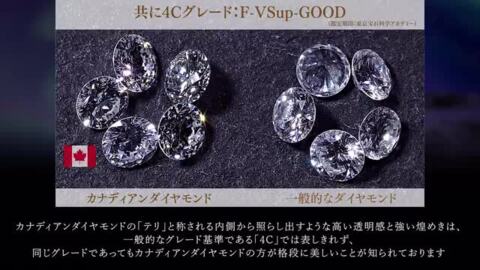 楽天市場】【10%OFFクーポン有】カナディアンダイヤモンドプリンセス ...