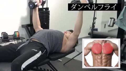 楽天市場】トレーニングベンチ 折りたたみ フラット 330kg 筋
