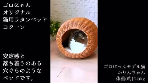 楽天市場】ゴロにゃんオリジナル ラタンベッド コクーン 猫用