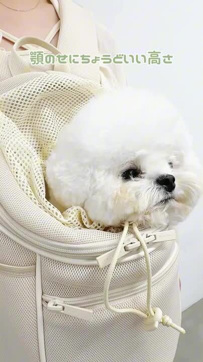 モンシェリ　ドッグキャリー　防災用にも 楽天市場】【期間限定10%OFF】 moncheri モンシェリ 犬 ペット