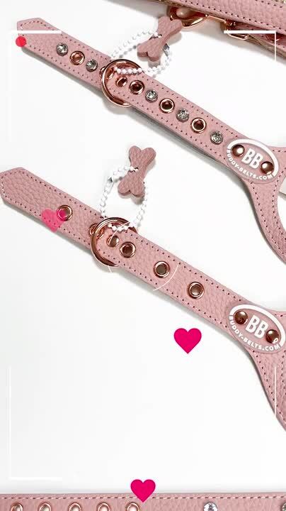 楽天市場】バディーベルト ハーネス 1号～7号 ブラッシュ Blush