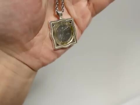 楽天市場】レオナルド・ダ・ヴィンチ コイン ネックレス