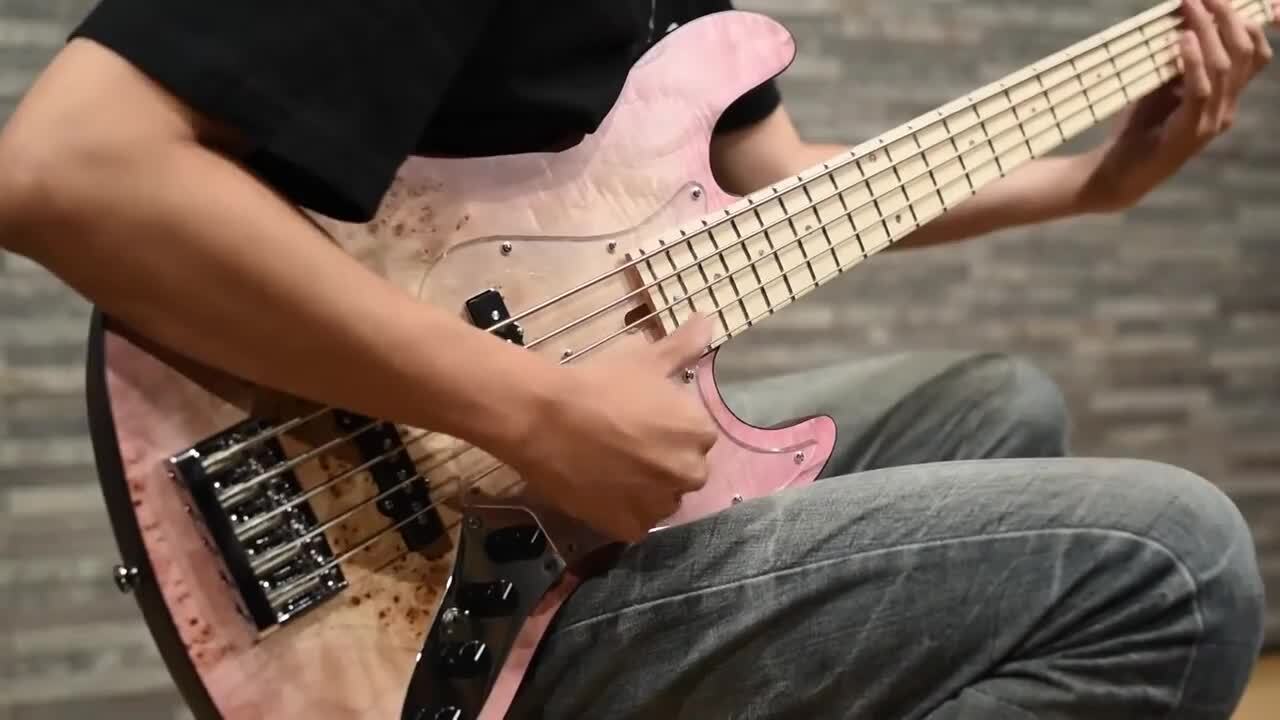 楽天市場】Bacchus WL5-BP-AC/M バッカス JTシリーズ 5弦
