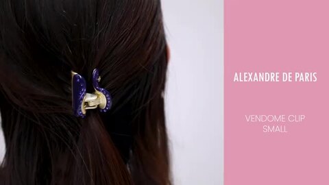 楽天市場】アレクサンドルドゥパリ ALEXANDRE DE PARIS ICC45