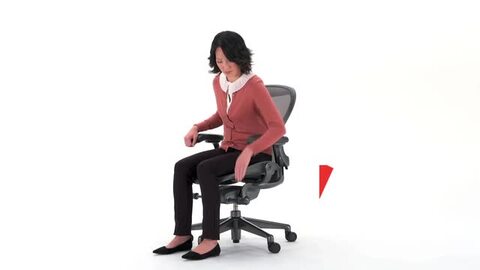 まるおくん様専用 アーロンチェア 取り次ぐ ライト ポスチャー