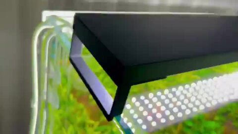 楽天市場】ゼンスイ LED Viiita 900 ヴィータ ビータ 72W 5,600