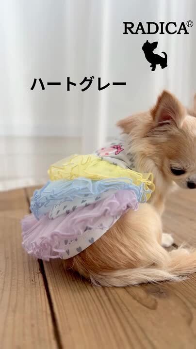 さえら　犬服　カラー Amazon.co.jp: SAEYZ 犬 服 春 夏 イルカ柄Tシャツ クール涼しい