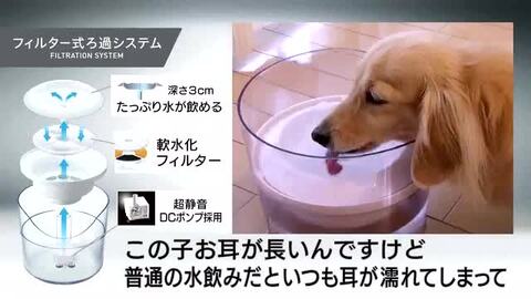 楽天市場】【GEX】ピュアクリスタルグラッシー 1.5L 犬用 犬 いぬ 猫