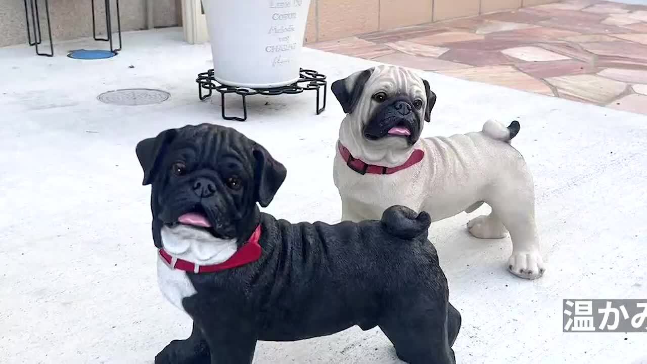 楽天市場】ブルドック パグ 犬 子犬 ガーデン 置物 オブジェ