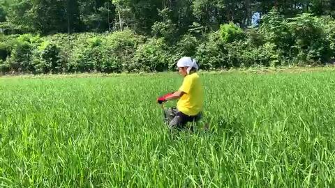 ［ユキ プロフ必須⚠️］秋田県産20kgあきたこまち　令和6年産 秋田県産あきたこまち20kg【令和6年産】 | 秋田県大潟村