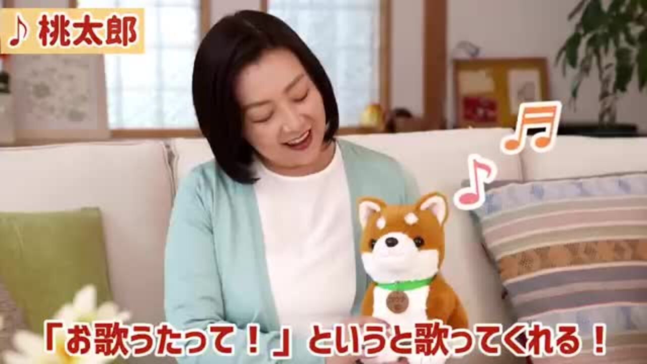 わんこパンタさん専用ページです。 楽天市場】【P最大48倍&クーポン!! 〜7/26 1:59】しばいぬ