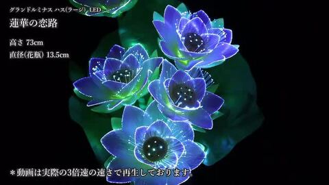 楽天市場】グランドルミナス ハス(ラージ) 蓮華の恋路 LED 花 供花