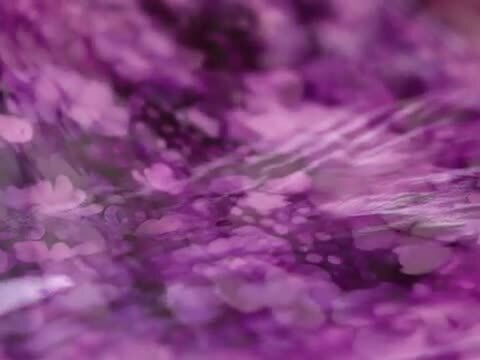 楽天市場】マジックアワーよ、永遠に。夕暮れのひと時、紫にドレスアップする長財布 ALBA Alice -Magic hour-（アルバアリス  マジックアワー） 103222-8033 : フルッティ ディ ボスコ（バッグ）