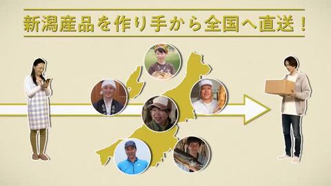 楽天市場 長岡花火 夏花火パイ 24枚入 株式会社美松 ガトウ専科 新潟県産 生産者直送 ギフト お菓子 菓子パイ ミルフィーユパイ 焼菓子 お土産 手土産 プレゼント お中元ギフトに 贈り物 送料無料 新潟直送計画 楽天市場店