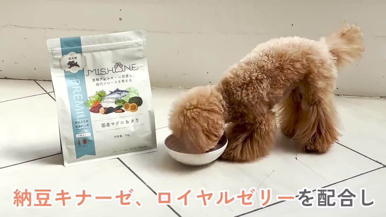楽天市場】＼最大20%OFFクーポン配布中／ 【公式】ミシュワン