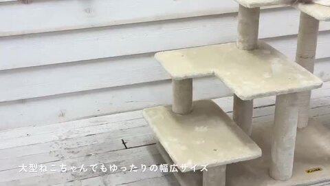 楽天市場】キャットタワー 据え置き ステップ 大型猫 シニア猫 子猫 低い 低め コンパクト 小型 高さ71cm 低段差 爪とぎ 麻縄 交換 安定  組立簡単 猫タワー シンプル かわいい おしゃれ【Mauタワーシニアベイス】 : オリジナルキャットタワー Mau