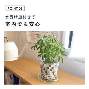 楽天市場】植木鉢 おしゃれ 鉢 鉢カバー 3号 9cm 受け皿付き 室内 フラワーポット ガラス モザイク ガーデニング 屋外 植物 多肉植物  底穴あり プランター 円形 丸型 ホワイト ブラウン ブルー レッド イエロー グリーン マルチ カレード プラントポット Sサイズ ...