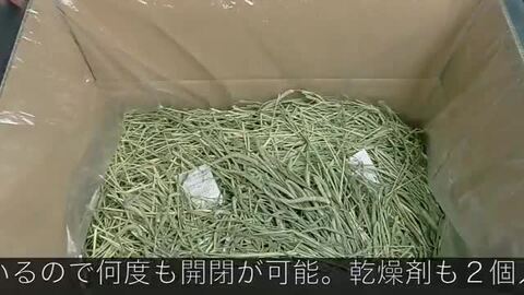 ごろう様専用」チモシー 22キロ ヘイキューブ6キロ OXBOW ウエスタン