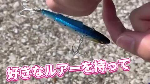楽天市場】シーバス入門オールインワンセットPEシーバスロッド＋