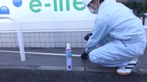 楽天市場】スズメバチの巣退治 エムシー緑化 ハチダウン 730ml 楽天市場】スズメバチの巣退治 エムシー緑化 ハチダウン 730ml