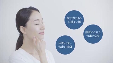 フラックス　水素エアージェネレータ　フレアー ミニ　FLAX FLM-25 新品 フラックス 水素エアージェネレータ フレアー ミニ FLAX FLM-25