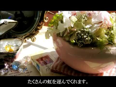 楽天市場 カテゴリのコンテンツ サンキャッチャーとは ハルコレ