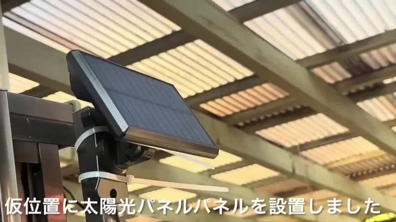 楽天市場】＼今日限定！超お買い得！／ SUPAREE 333LED 4灯式
