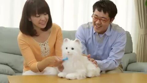楽天市場】【販売終了】夢ねこセレブ 【 夢ペットシリーズ 猫 楽天市場】【販売終了】夢ねこセレブ 【 夢ペットシリーズ 猫