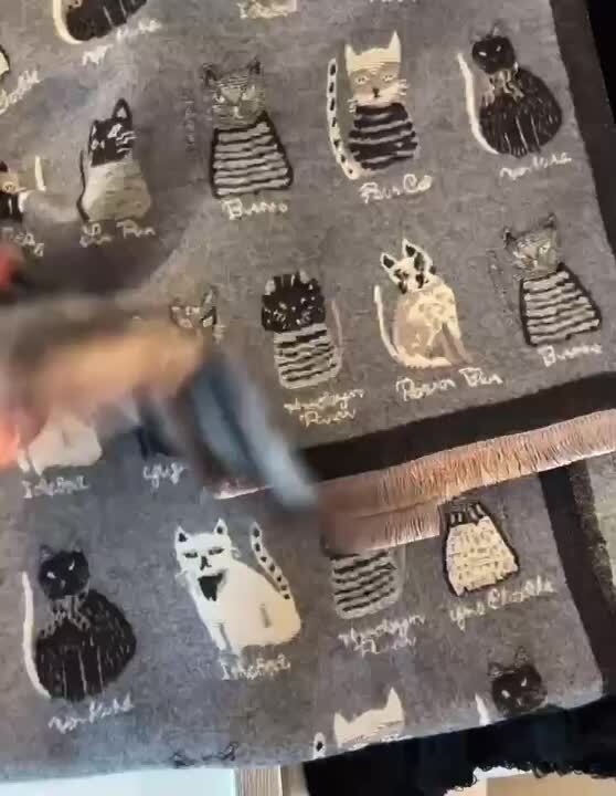 Manhattan’s・カシミヤ猫柄大判ストール 楽天市場】送料無料 即納 ストール ネコ柄 猫 猫派 パシュミナ風