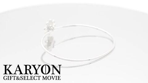 Tiffany＆Co. パロマピカソ デイジーフラワー バングル ブレスレット 楽天市場】【ギフト品質】ティファニー Tiffany&co バングル