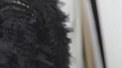 楽天市場】チュールシャーリングプルオーバー 【メール便不可