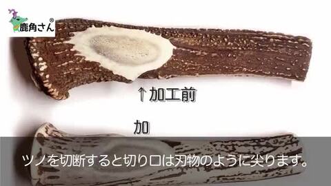 蝦夷鹿の角　15本セット　  175 楽天市場】中型犬用 蝦夷鹿の角 『鹿角さん』 割っていない