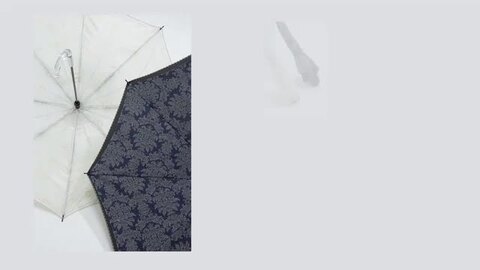 楽天市場】【クリスマスギフト】 シックで大人可愛い 逆さ傘