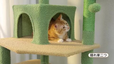 楽天市場】【P10倍・マラソン期間限定】キャットタワー 猫タワー