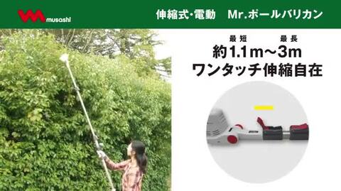 楽天市場】【49％引き】【大人気】【送料無料】【ムサシ】Mr. ポール