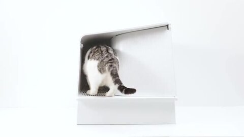楽天市場】PETKIT ペットキット 一年保証 猫 トイレ トイレ本体 猫用 