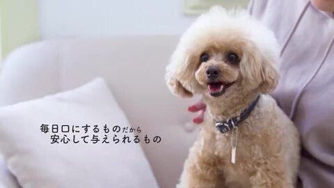 Add.Mate アドメイト more soft モアソフト チキンアダルト 50g