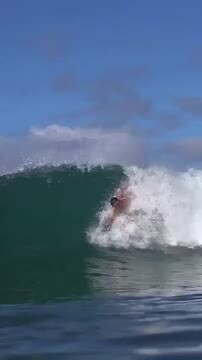 サーフィン・ボディボード Reversal サーフィン・ボディボード INDOBOAD サーフボード （安い