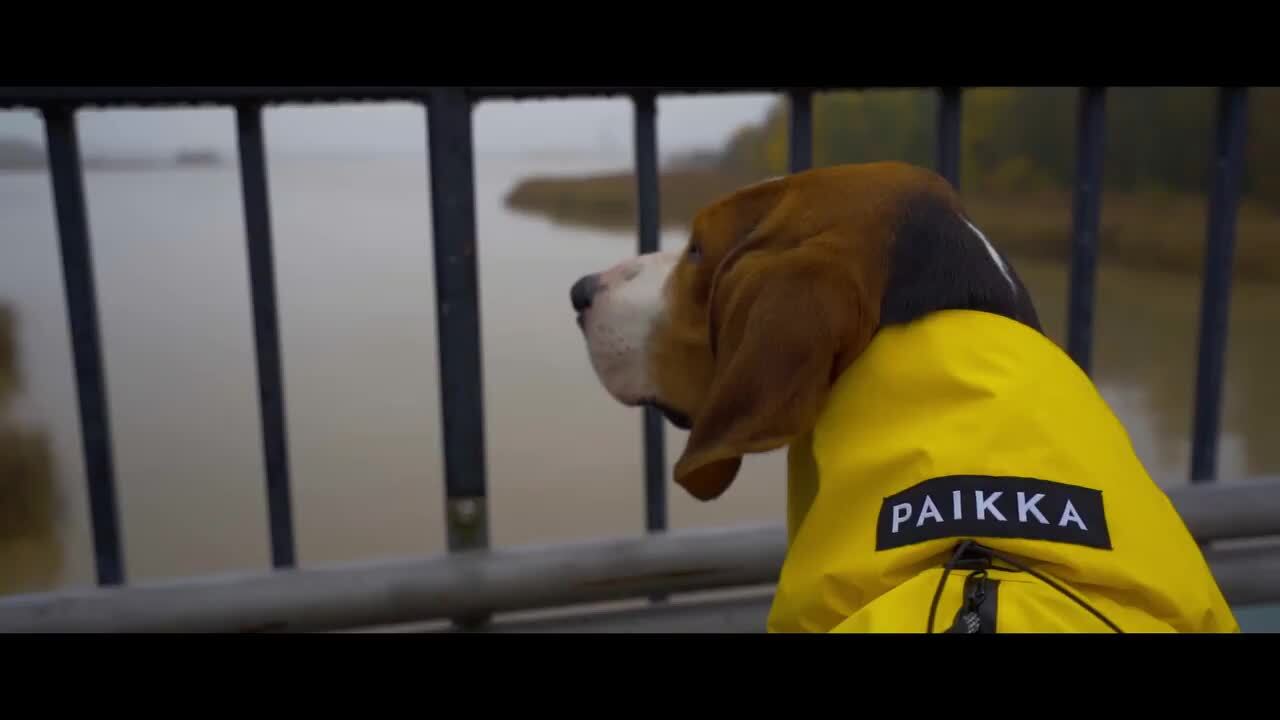 新品タグ付き★PAIKKAパイッカ★犬用レインコート 楽天市場】パイッカ 犬用 レインコート 北欧 フィンランド