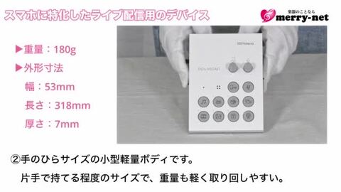 楽天市場】Roland ローランド iPhone用オーディオインターフェイス GO