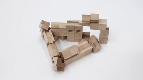 楽天市場】【在庫あり】NEWこどろき 童具館 積み木 組み木 waku-block 