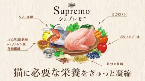 楽天市場】ニュートロ シュプレモ 成猫用 チキン＆サーモン 2kg