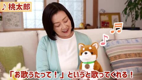 動作確認済み、良くお話しするよ！「こんにちワン！しばいぬコウタ」y5041 動作確認済み、良くお話しするよ！「こんにちワン！しばいぬ