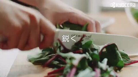 極美品  小鳥 麦 ブローチ #250 925 付属品完備 極美品Georg Jensen 小鳥 麦 ブローチ #250 925 付属品完備