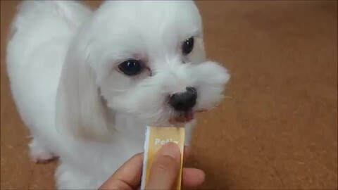 【本物保証 /関税・送料無料】UNION Bephies Beauty Supply COPNフルーツ丸14F 本体 | 製品詳細 | シーピー化成株式会社