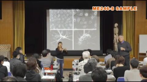 楽天市場】トム ・ マイヤーズ Anatomy Trains セミナー2018「機能的運動における筋膜の性質」[理学療法 ME246-S 全8巻] :  ジャパンライム