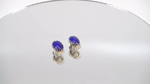 楽天市場】アクセサリー イヤリング ラピスラズリ 天然石